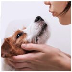 Super Deodorizing Shampoo For Dogs - Image 2